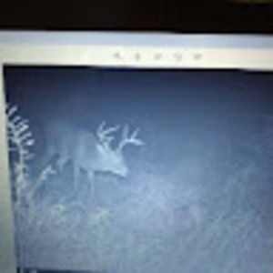 Meet your Posher, Patrick